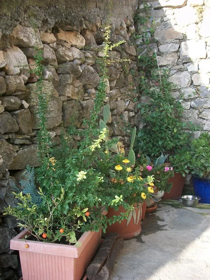 Semesterbostad Chezcatherine Villa Sarzana Italien